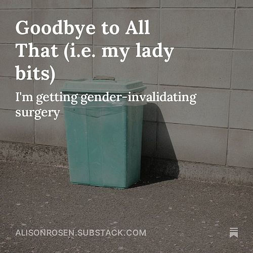 New one is up. Link in bio or stories or alisonrosen.substack.com