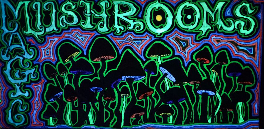 Magic Mushrooms Poster product image (1)