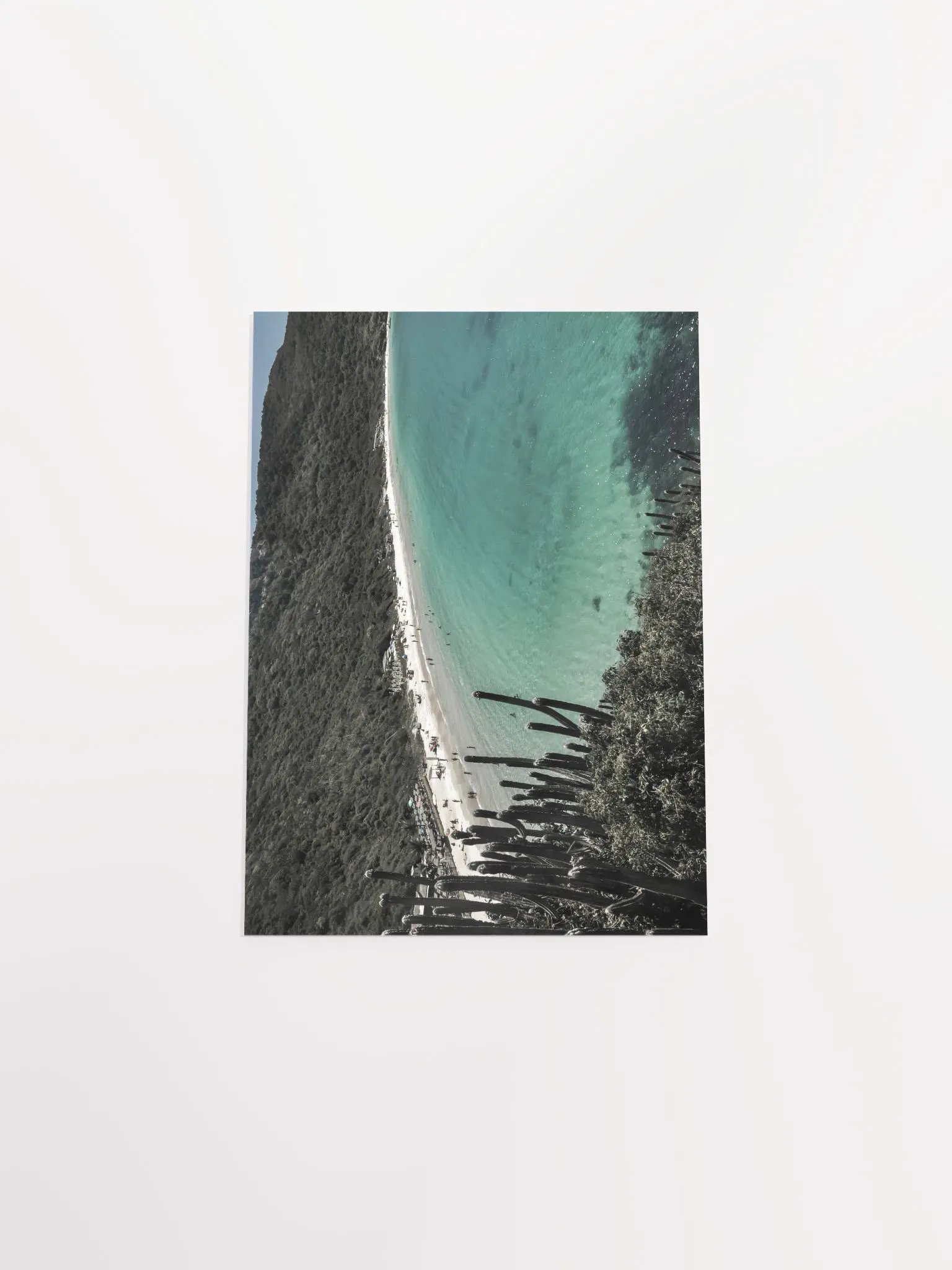Cactus en Arraial do Cabo product image (5)