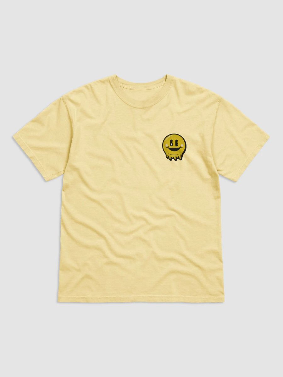 Stayx Fest- Festival Tee product image (1)