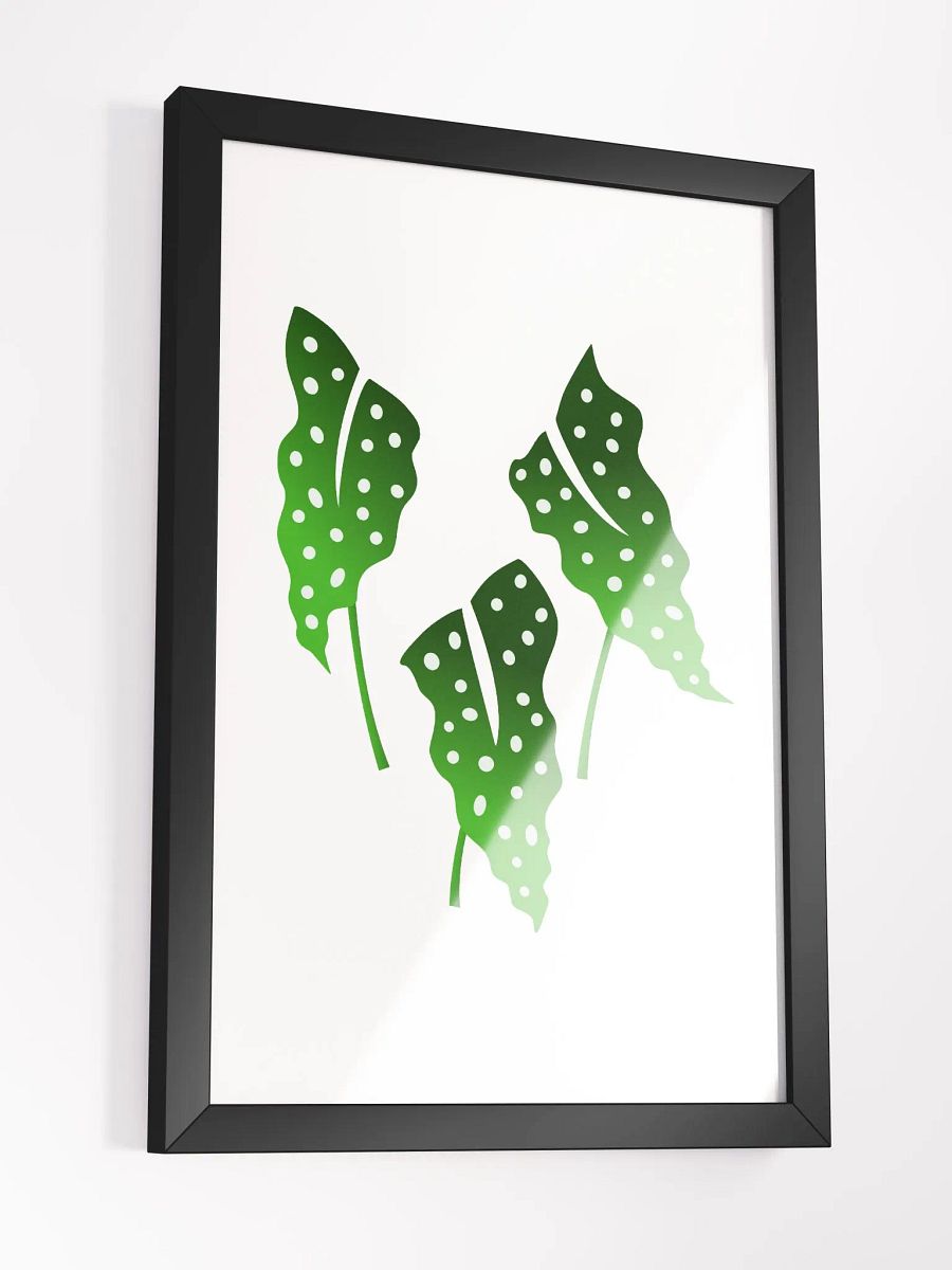 Polka Dotb Begonia Leaves product image (6)