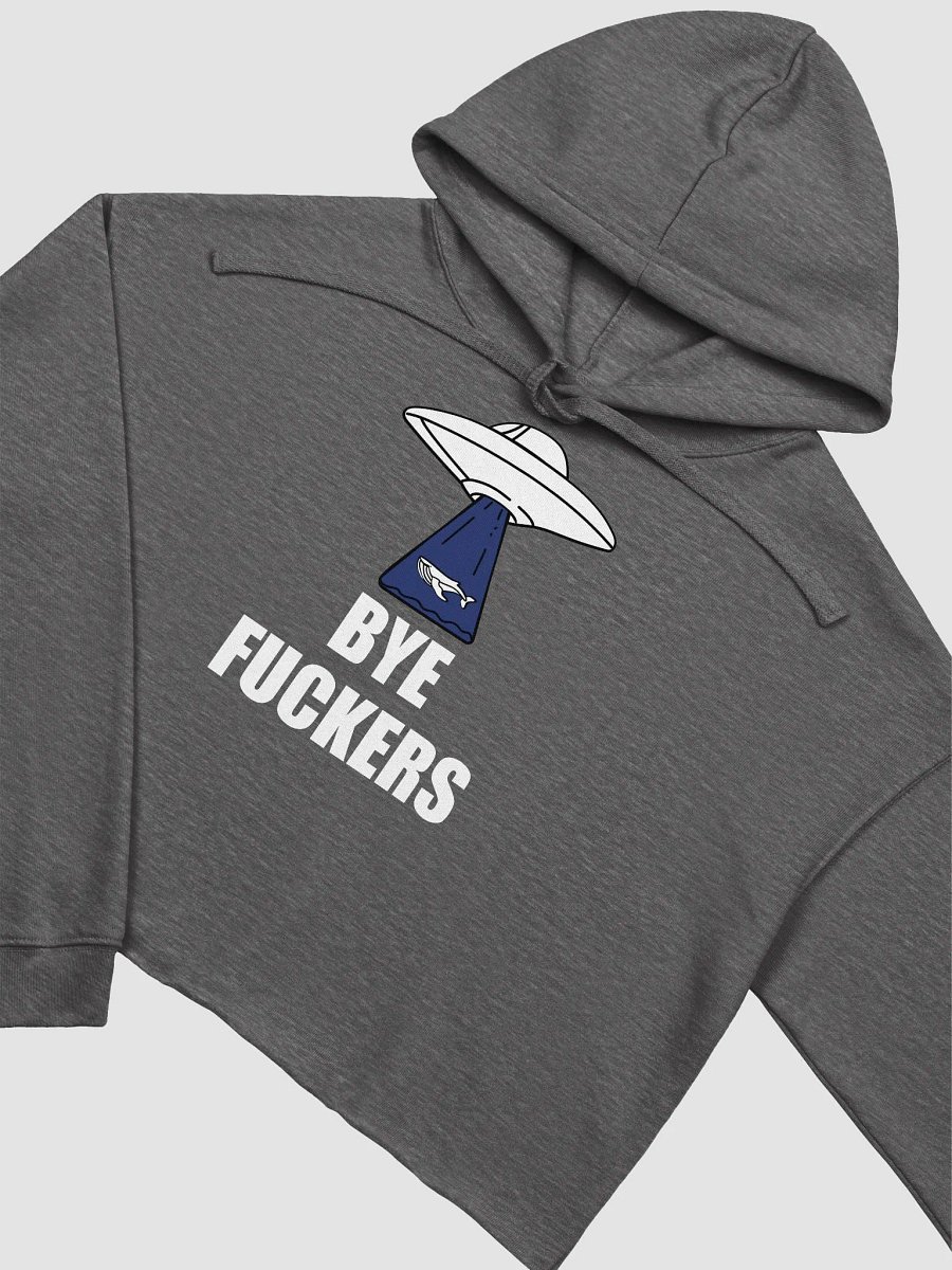 Bye Fuckers crop hoodie product image (3)