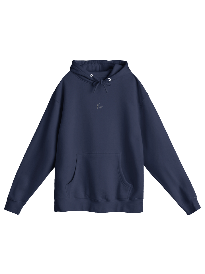 Need money for an r1 | heavy hoodie product image (2)