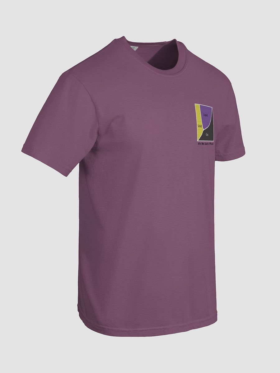 It's Not Just a Phase- Non Binary T Shirt product image (54)