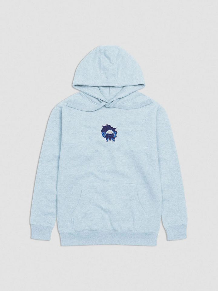 STITCHED BRAH FACE HOODIE product image (1)