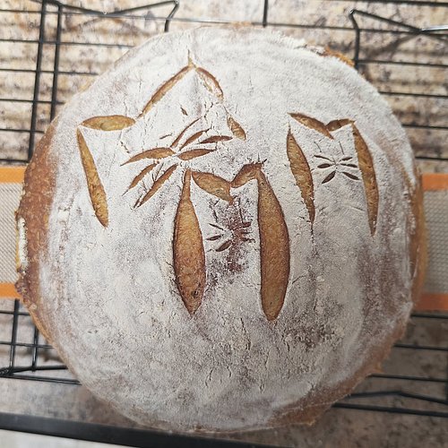 CAT BREAD 🍞 I don't think I've posted my sourdough loaves here before, soooooo here it is! I've been making sourdough for 2 y...