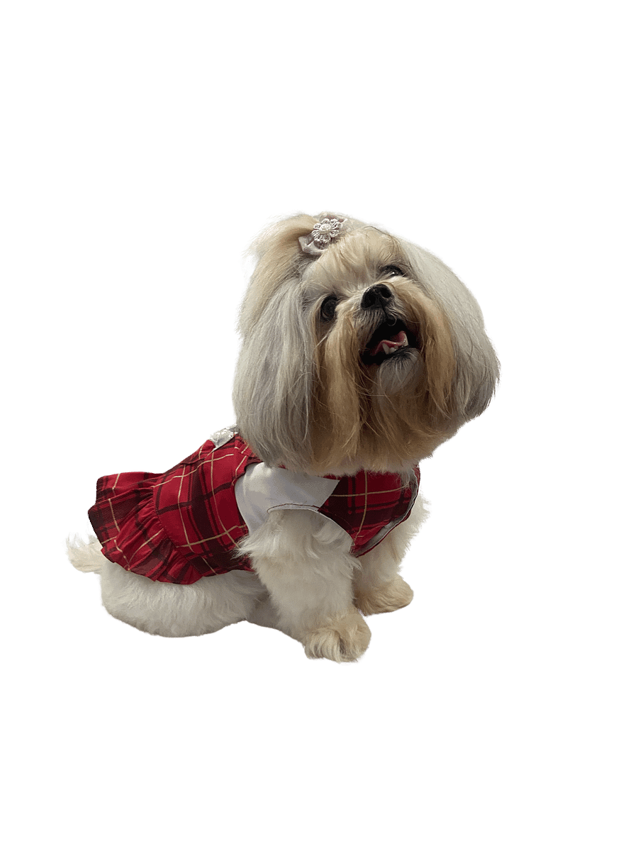Vestido Pet Ursabela - Modelagem Pet PDF product image (4)