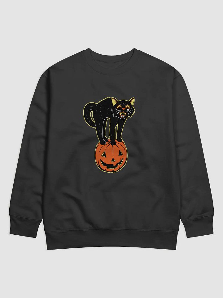 Retro Black Cat and Pumpkin product image (1)