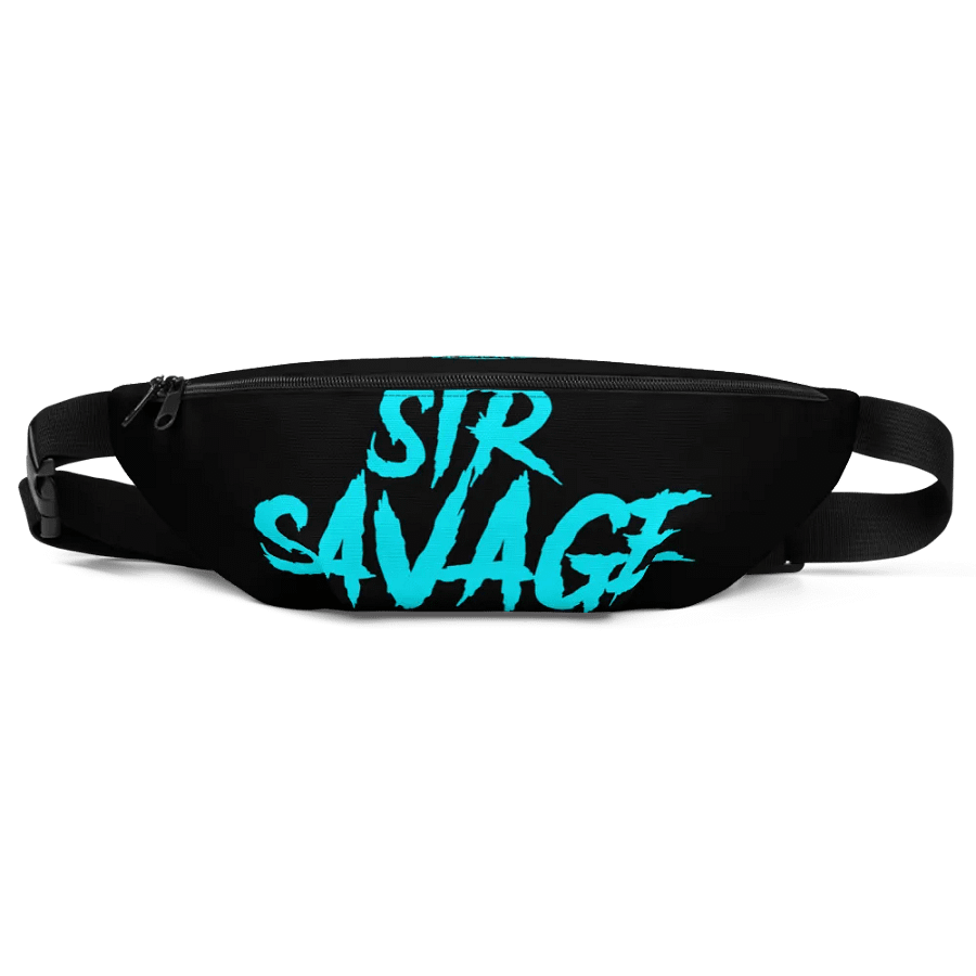 Belt Bag B Fanny Pack product image (1)