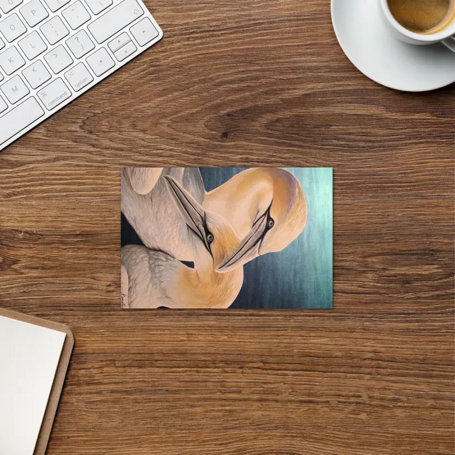 Lovers/Amoureux , fou de bassan product image (12)