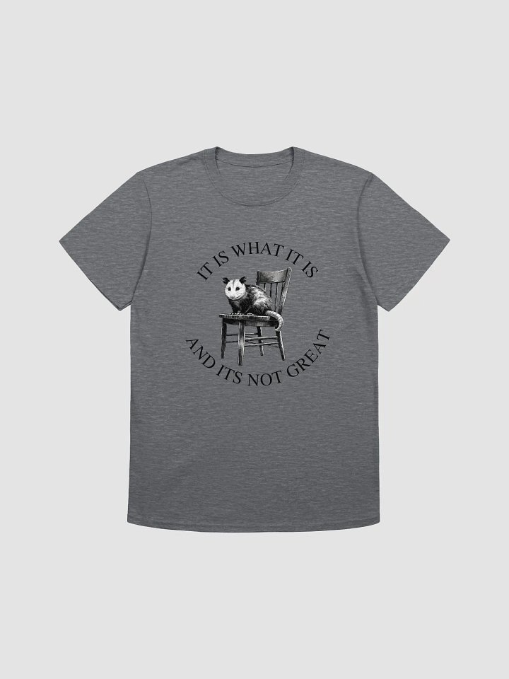 It Is What It Is T-Shirt product image (1)