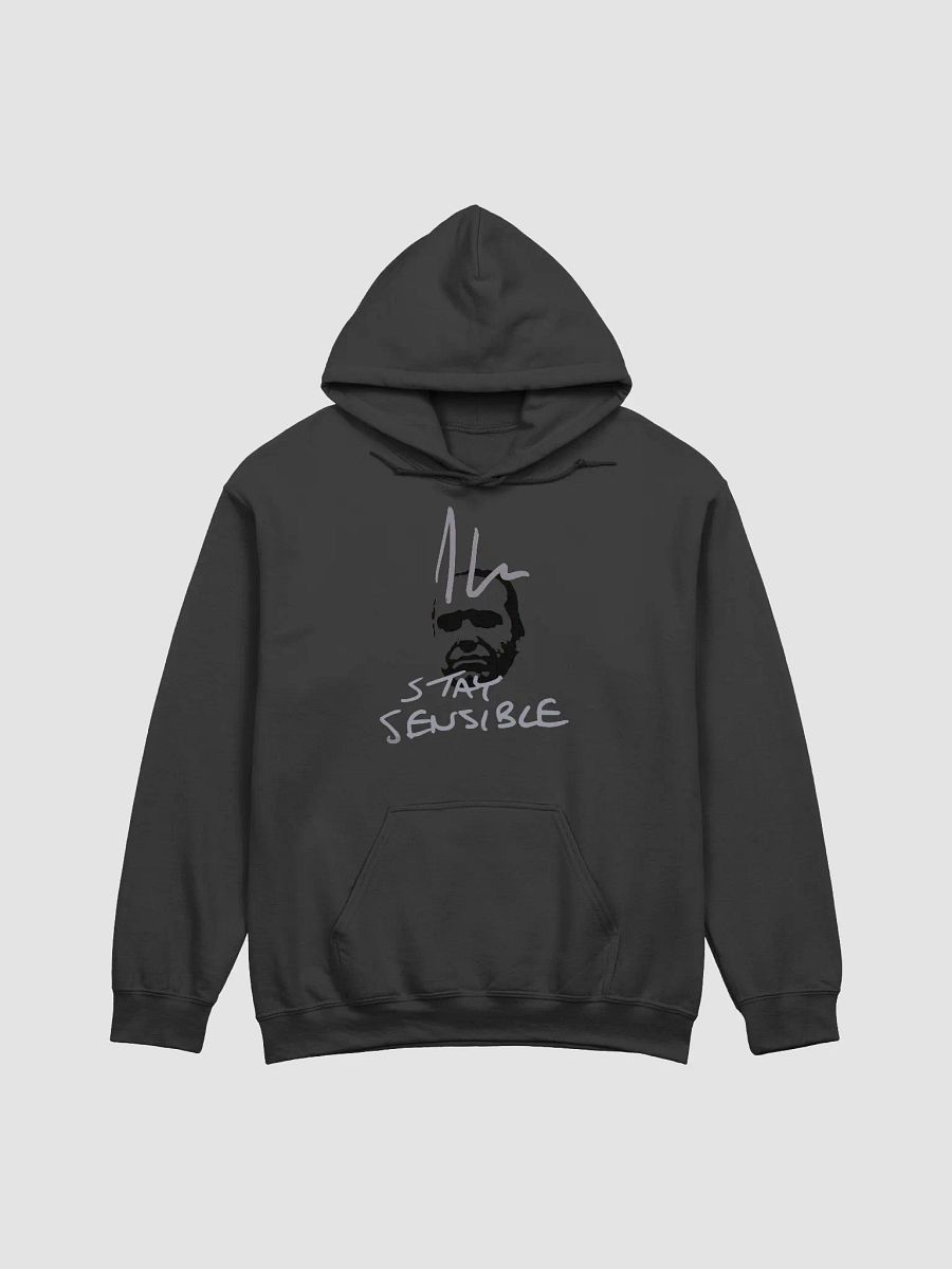 Jon Hare Stay Sensible Hoodie product image (1)
