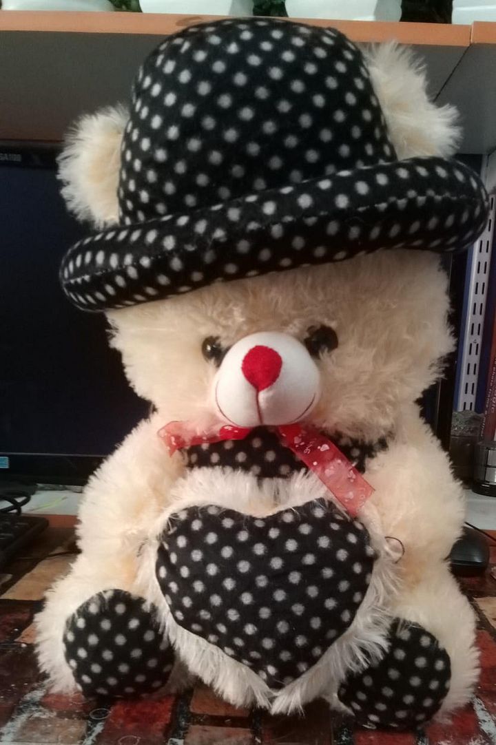 TEDDY BEAR product image (1)