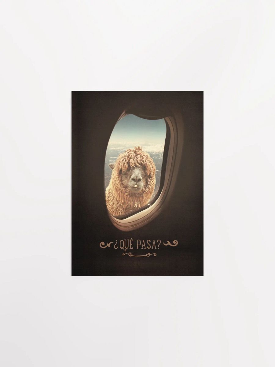 Llama's Perspective Poster "¿Que Pasa?" product image (6)