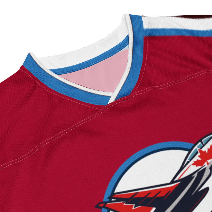 Winnipeg Thrashers product image (6)