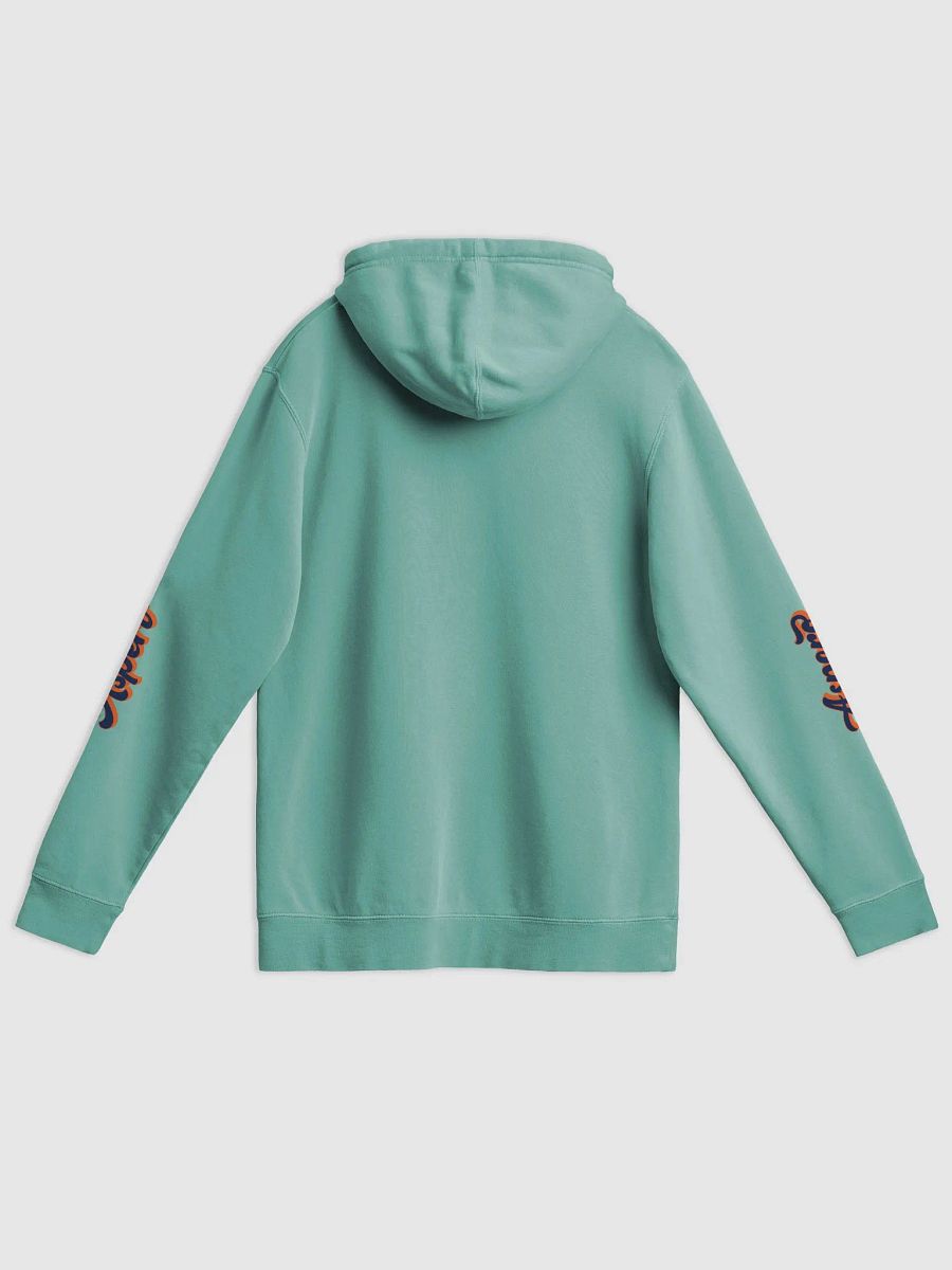 Aspero Signature Vintage Hoodie product image (42)