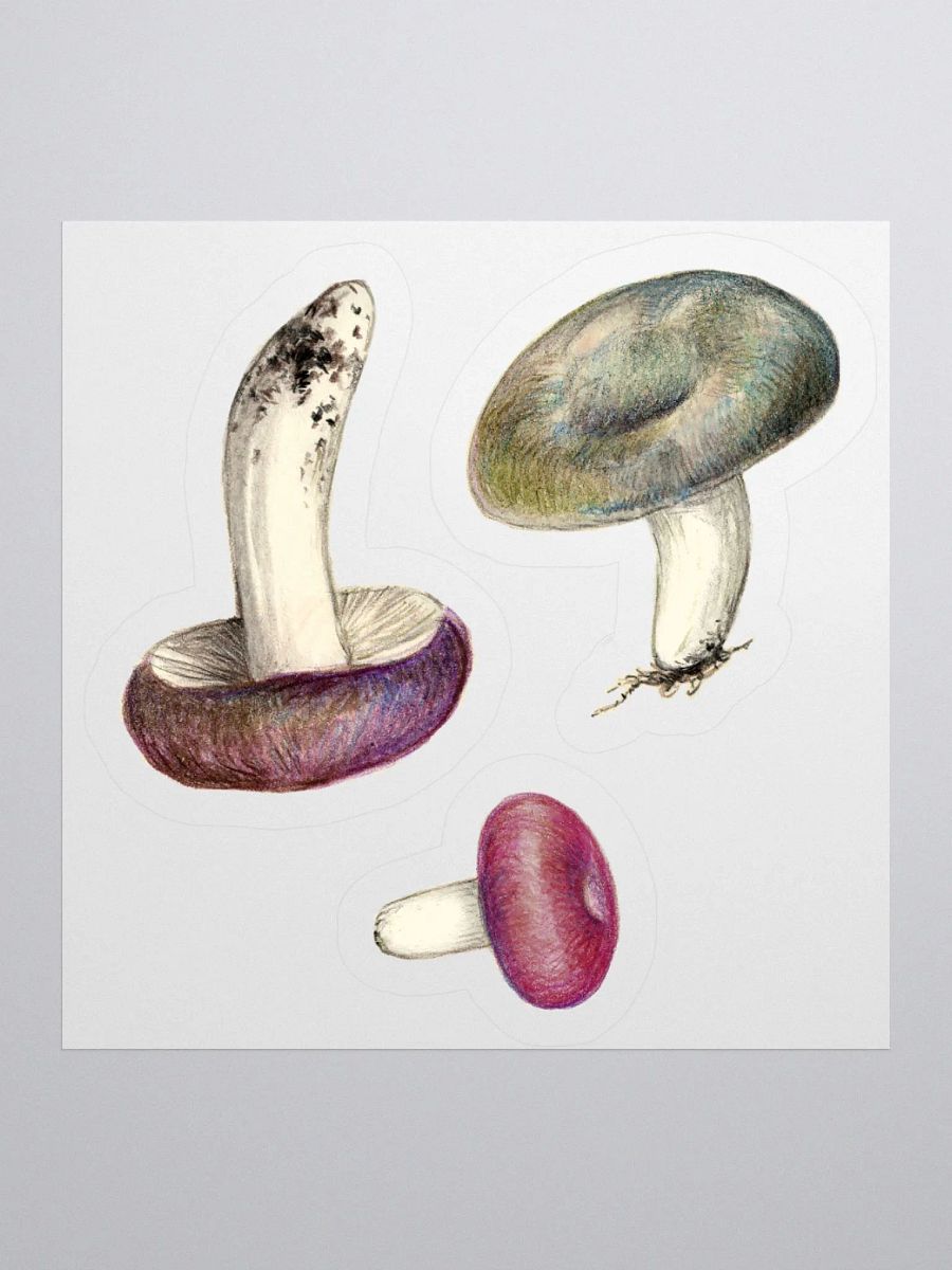 Russula mushrooms stickers product image (2)