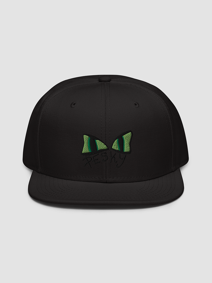 [TEAMEMBERS] Snapback - Otto Cap 125-978 product image (2)