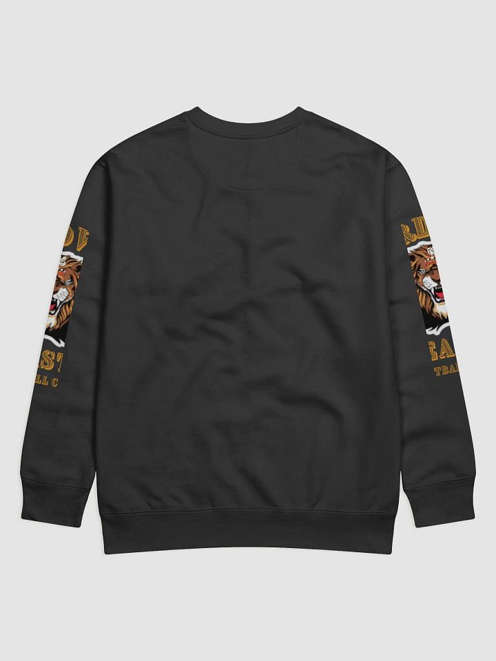 Boardwalk Beasts Sweatshirt with Beast Sleeves product image (2)