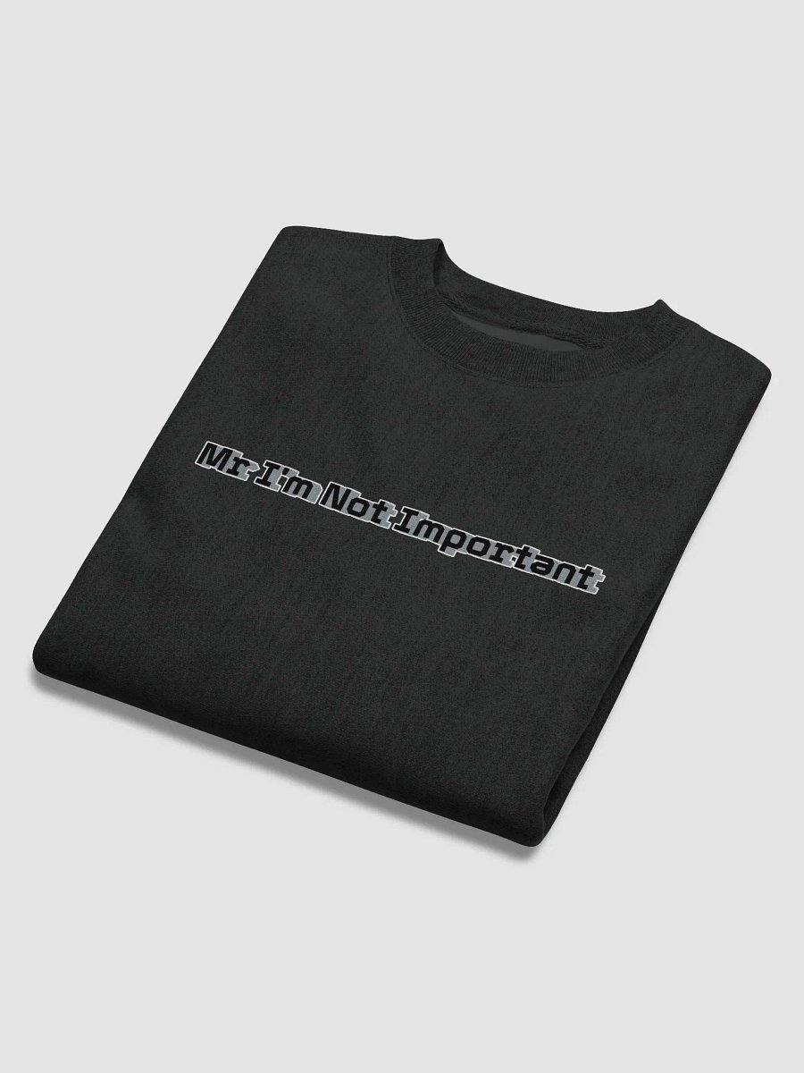 Cotton Max Sweatshirt - Mr I'm Not Important product image (6)