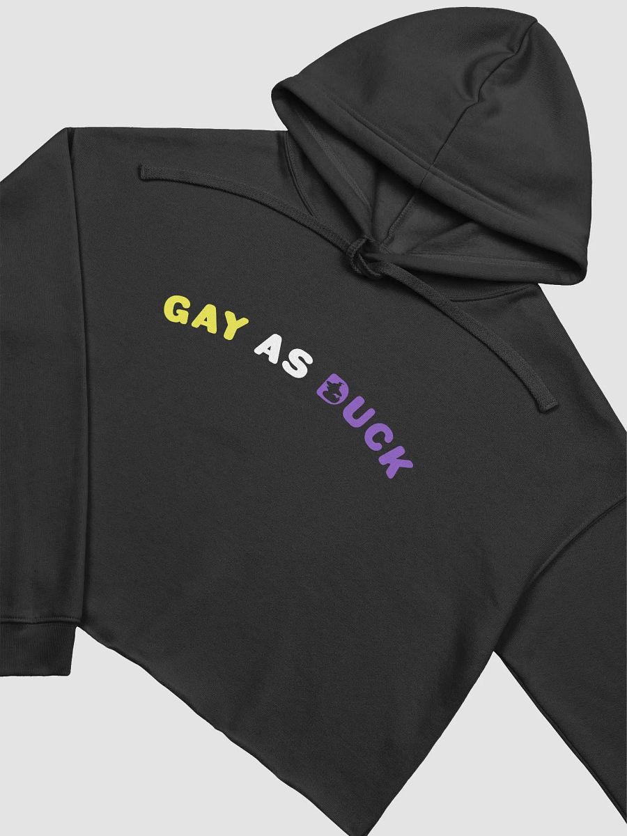 Gay As Duck Crop Hoodie - Enby product image (3)