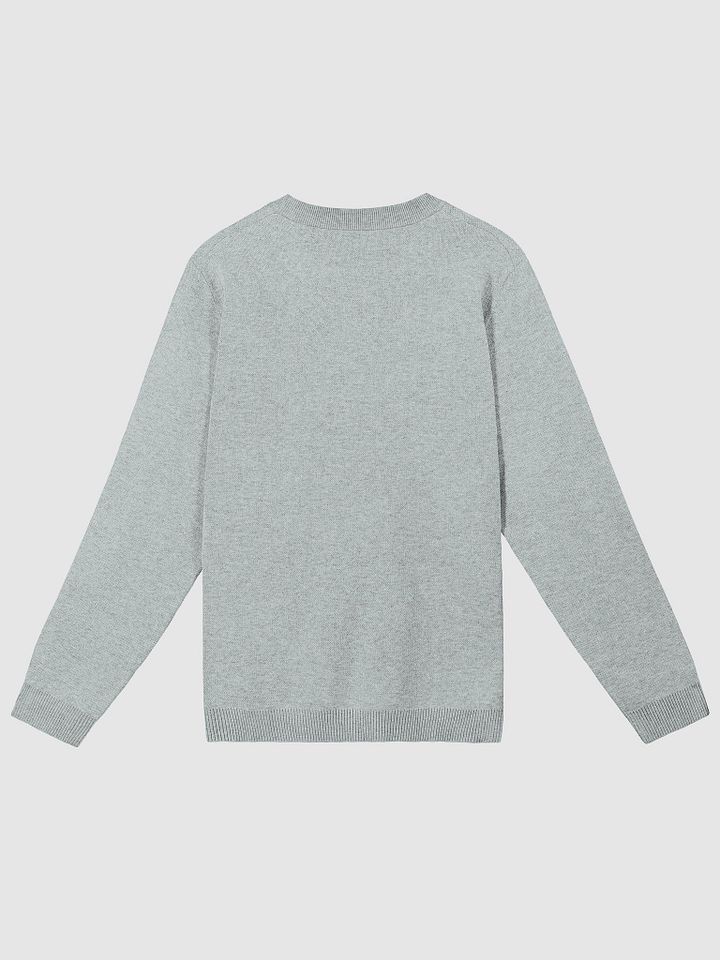 PLEASE DON'T MAKE ME TALK (light blue duotone) knitwear classic crewneck product image (7)