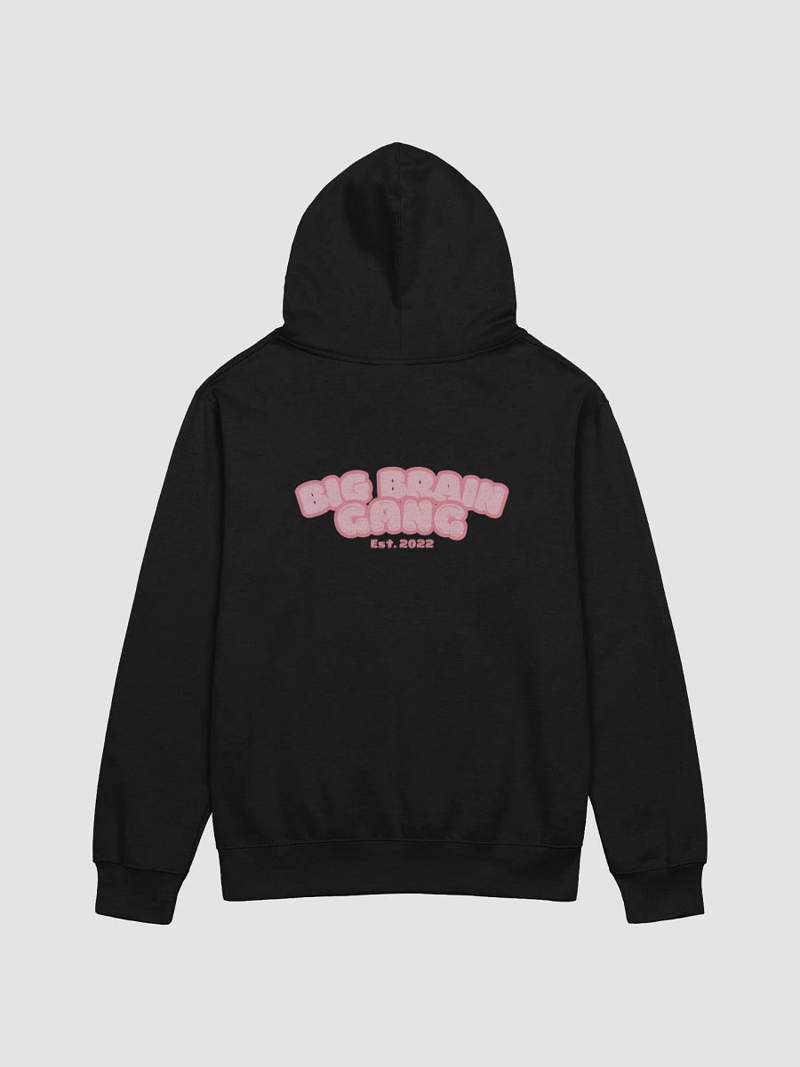 Brian Howdy / Big Brain Gang Hoodie product image (15)