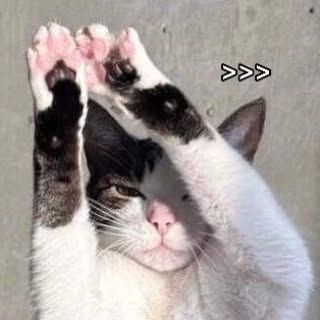 🙎: What is romantic? 
😽: Yes

Please Follow Us for more 😻😻⁣⁣⁣⁣⁣⁣⁣⁣⁣⁣

⚀ @catpresso.cat 😍⁣⁣⁣⁣⁣⁣⁣⁣⁣⁣⁣⁣⁣⁣⁣⁣⁣⁣⁣⁣⁣⁣⁣⁣⁣⁣⁣⁣⁣
⚁ @catp...