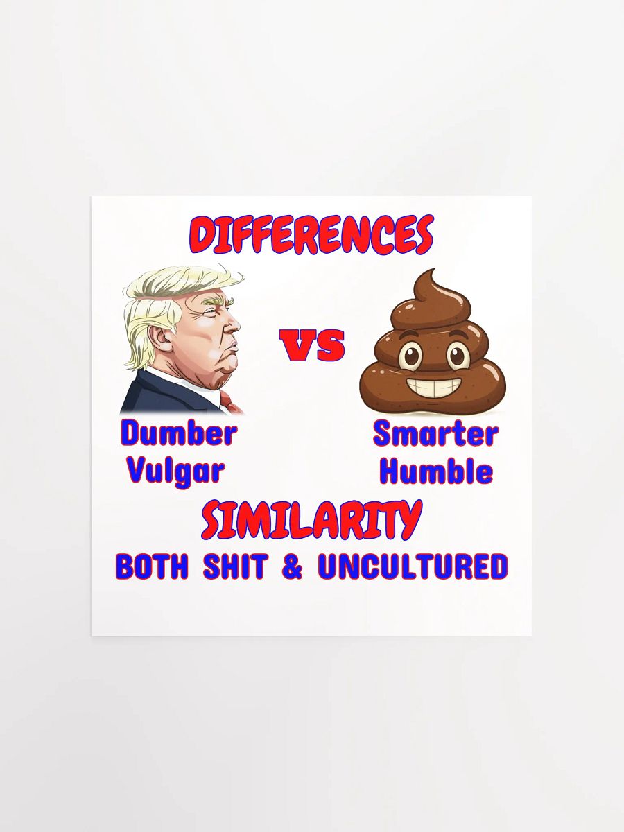 Differences vs Similarity Poster product image (3)