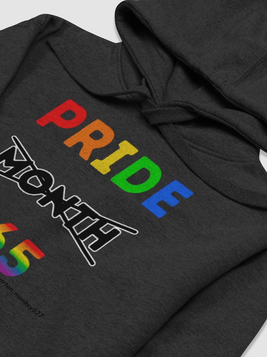 Pride 365 Hoodie product image (4)