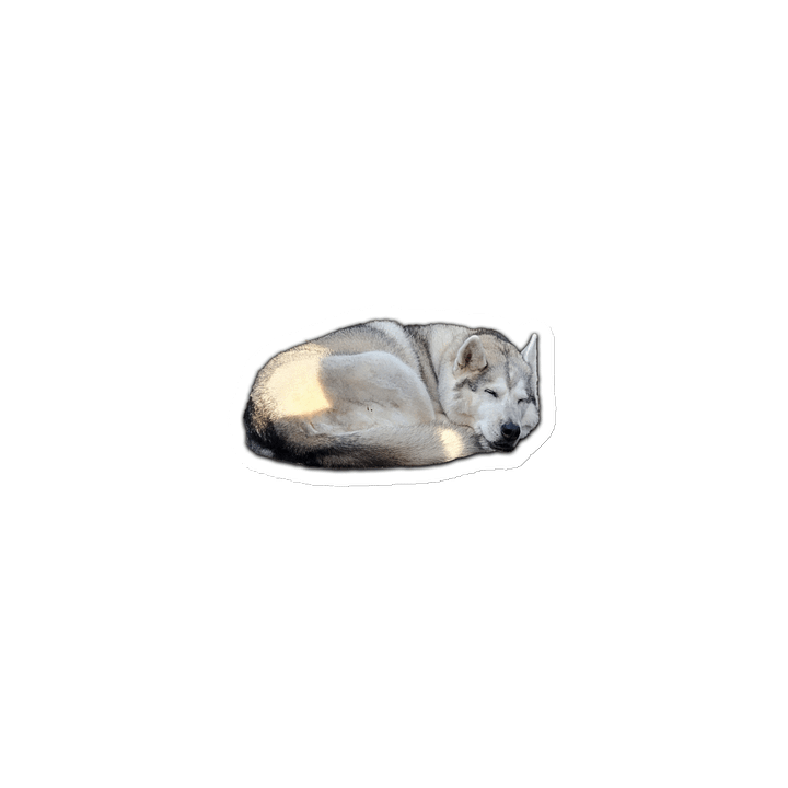 Sleepy Magnet product image (1)