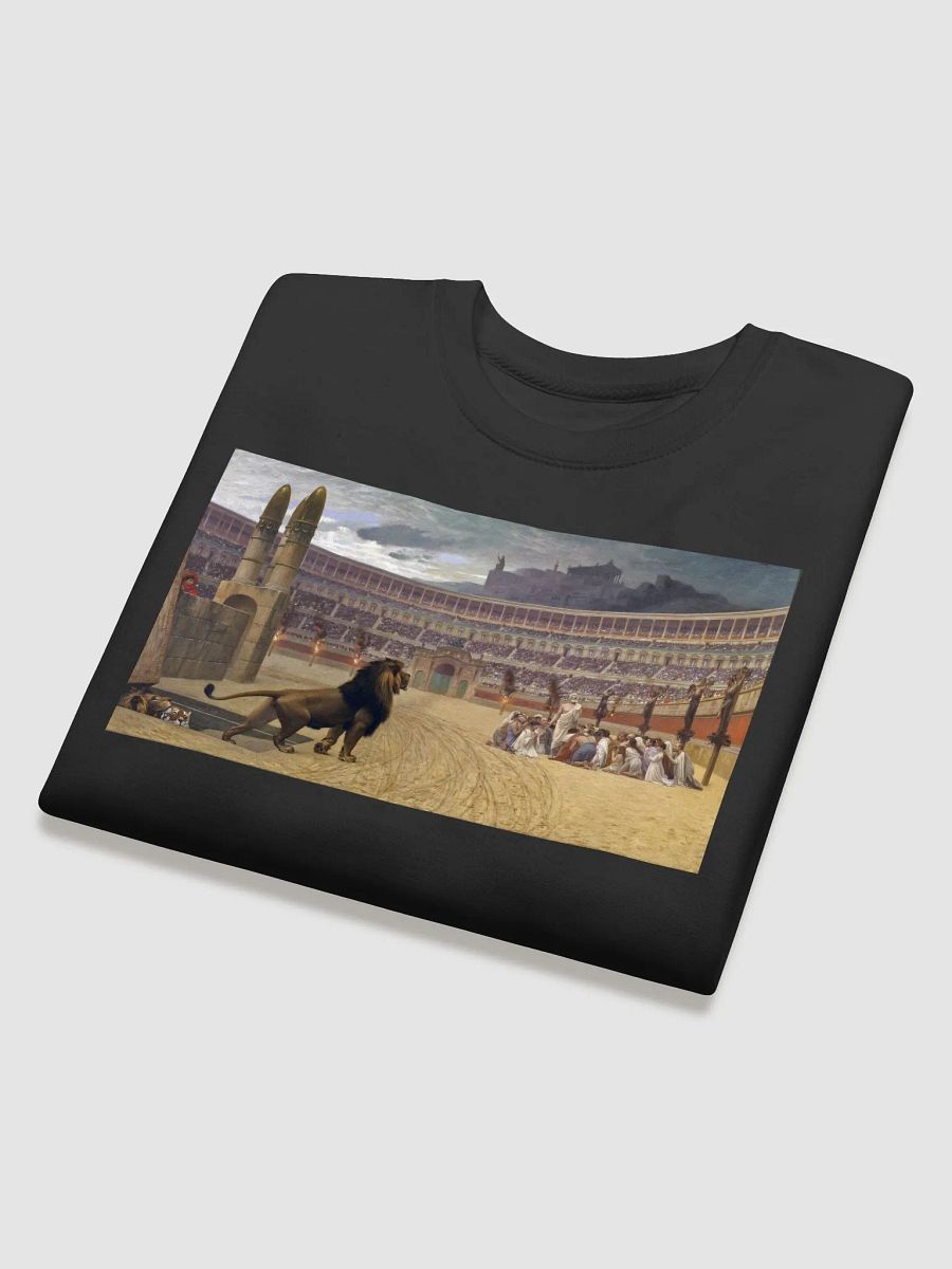 Martyr Sweater product image (4)