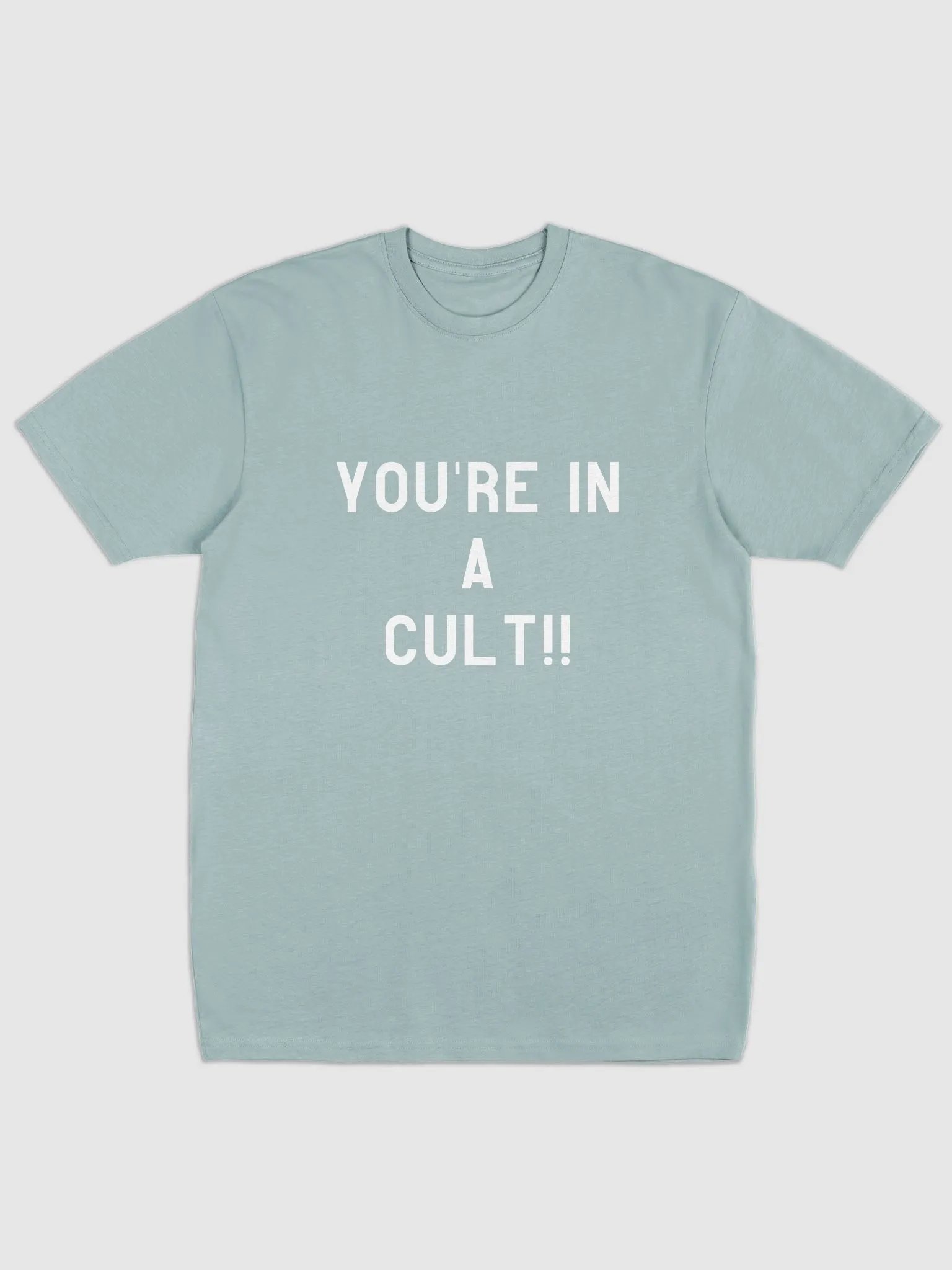 Pris- You're In A Cult -Cotton Heritage Men's Premium Heavyweight Tee product image (2)