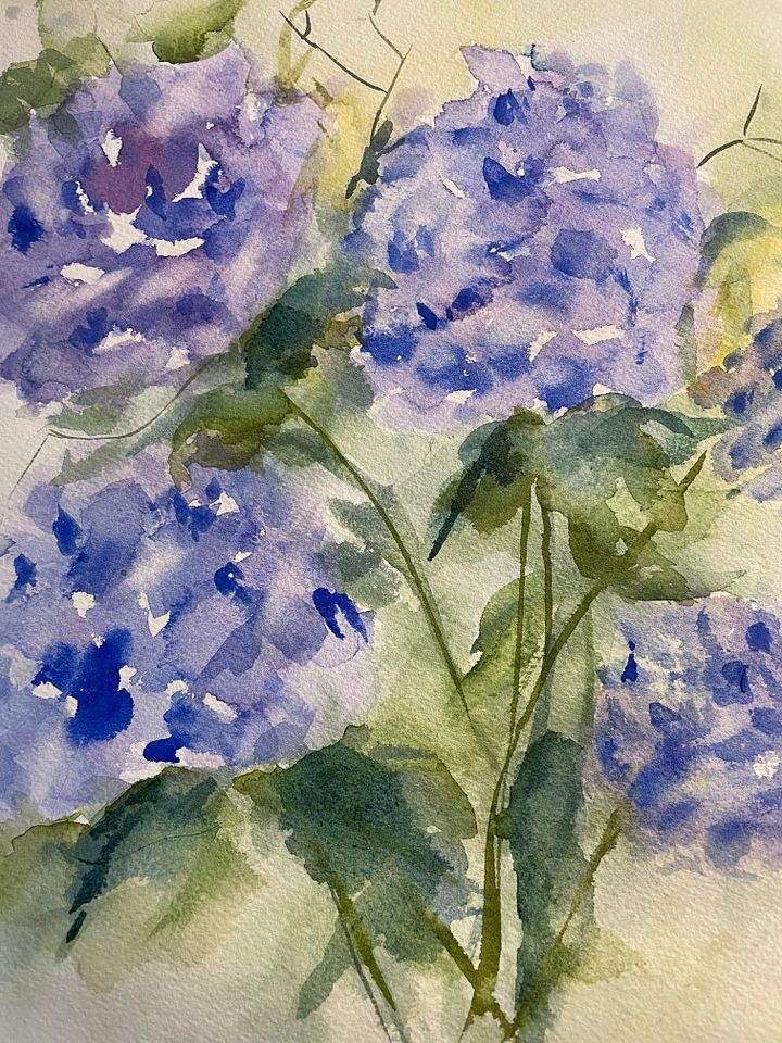Hydrangea for Betty Ann (Print) product image (1)