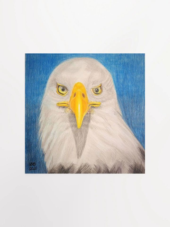 Bald Eagle Print product image (1)