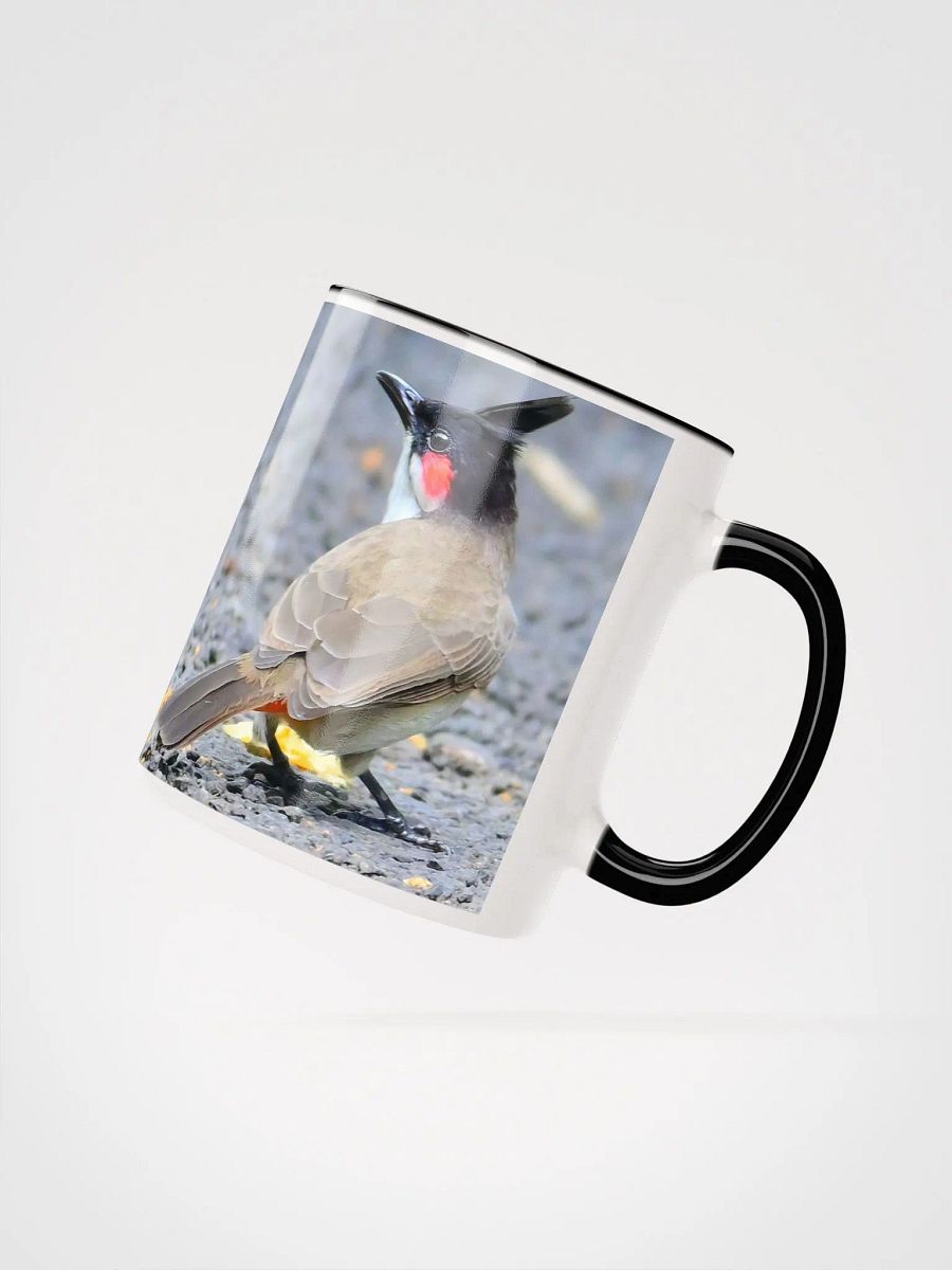 IUCAA Birds Photos product image (2)