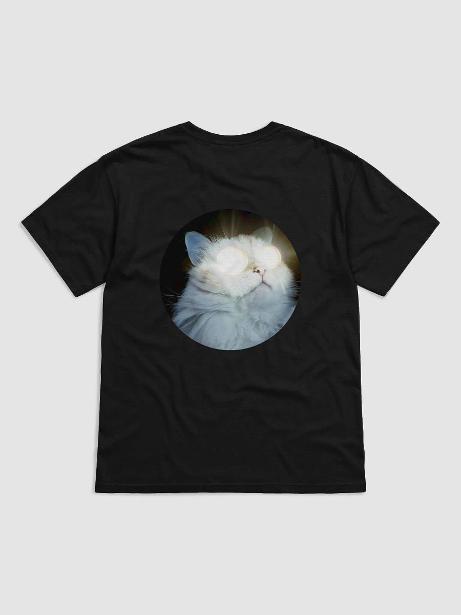 Tshirt product image (2)