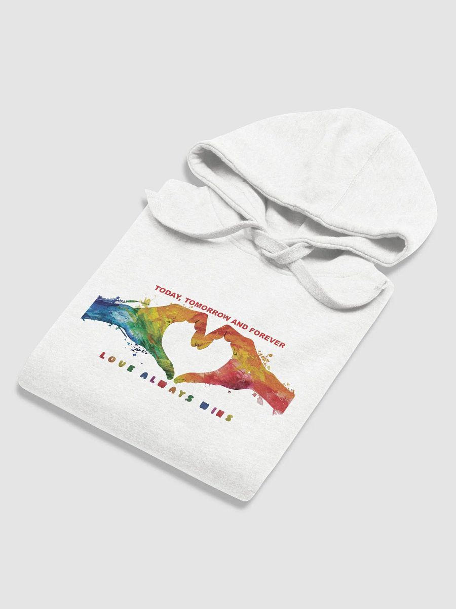 Love Always Wins Hoodie product image (70)