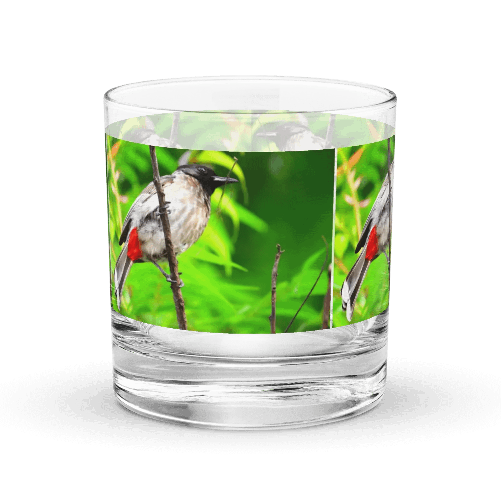 IUCAA Birds GLASS product image (1)
