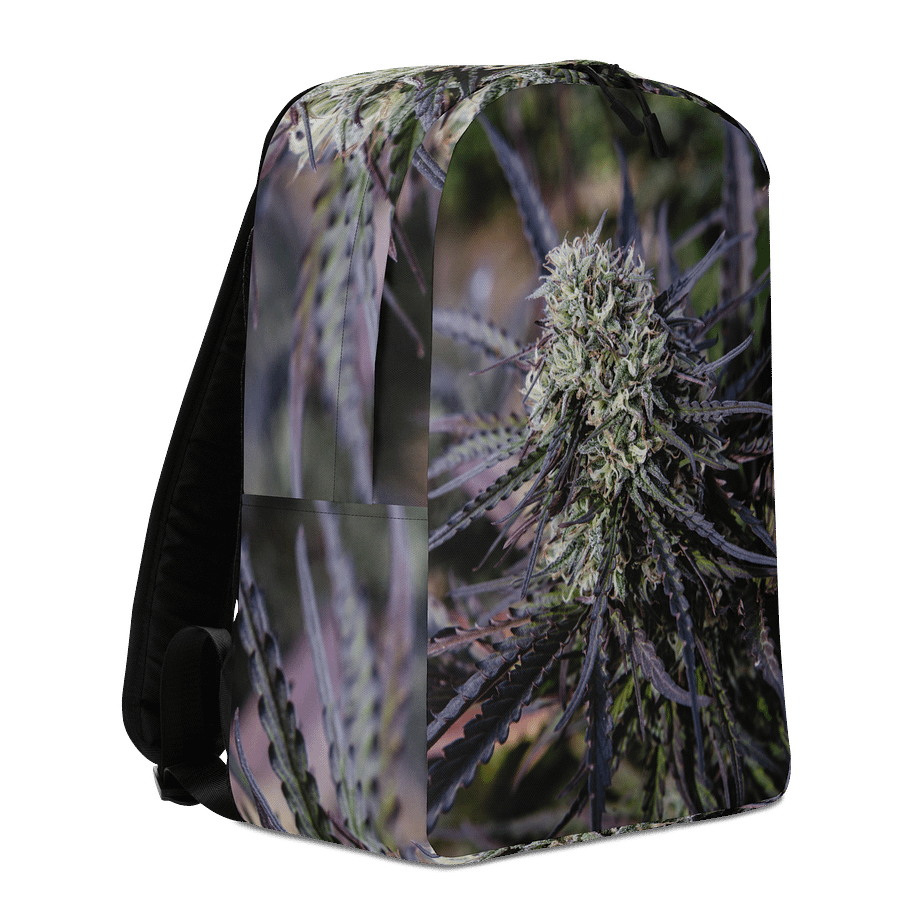 Royal Purple Cultivated Simple Backpack product image (3)