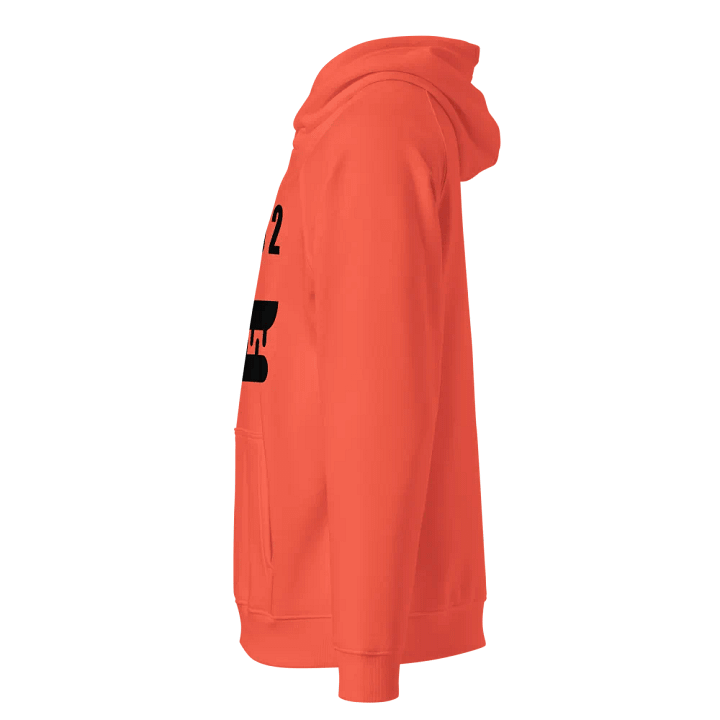 Eco Raglan Hoodie: Organic Comfort product image (3)