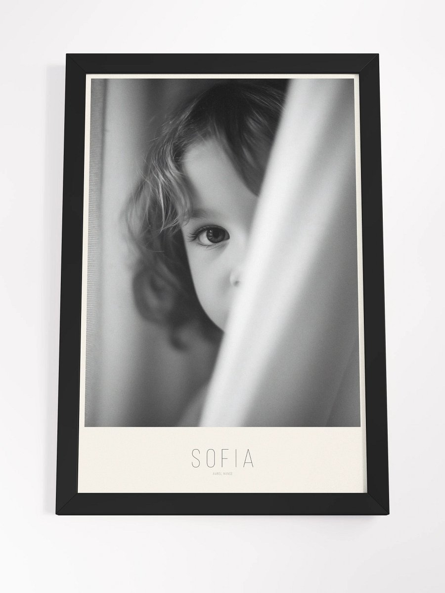 SOFIA product image (8)