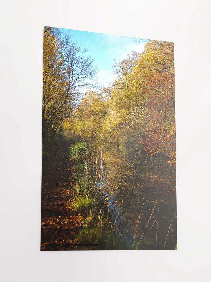 Autum Weather product image (6)
