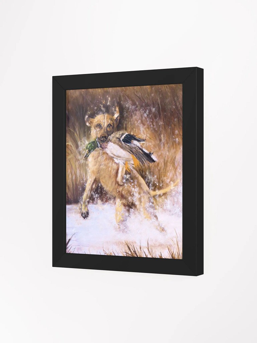 Lab and Mallard product image (5)