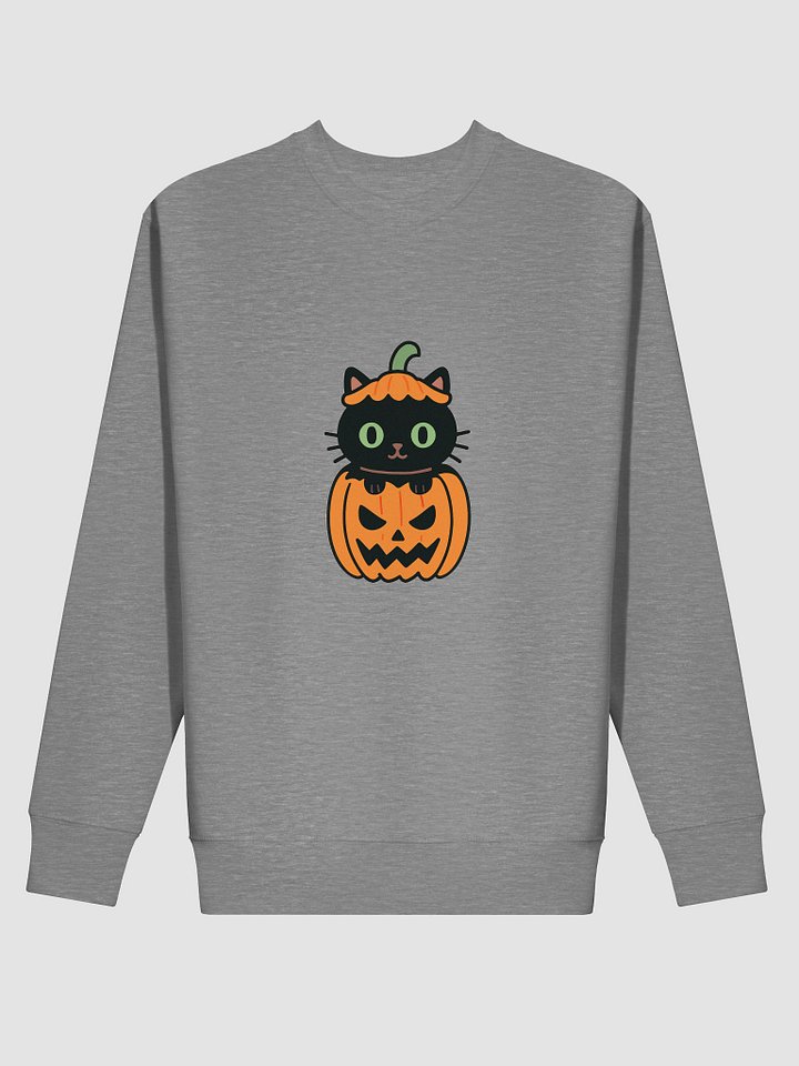 Whiskers & Lanterns Halloween Sweatshirt product image (7)