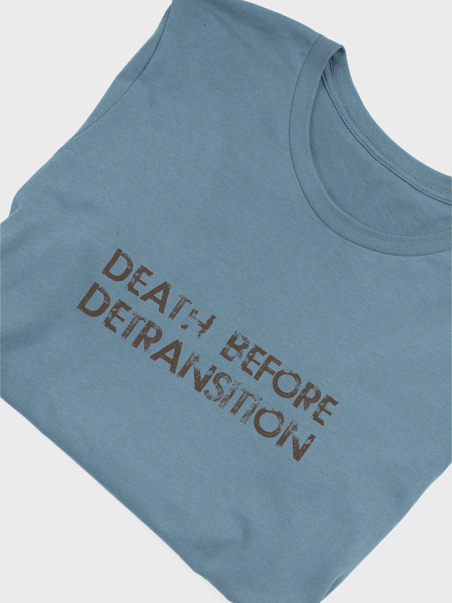 death before detransition t-shirt product image (5)