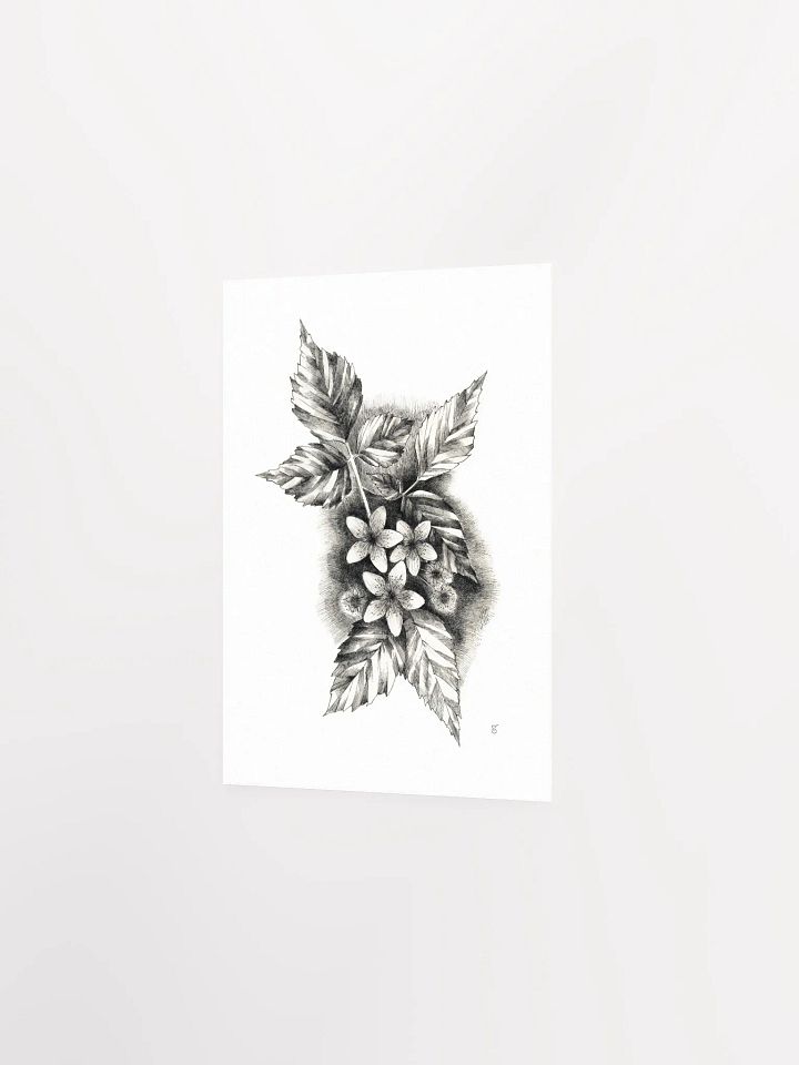 Botanical Bliss Matte Poster - Jasmine product image (2)