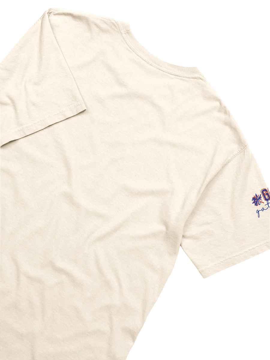 Copy of Florida Gators Babies T-Shirt (Comfort Colors) product image (4)