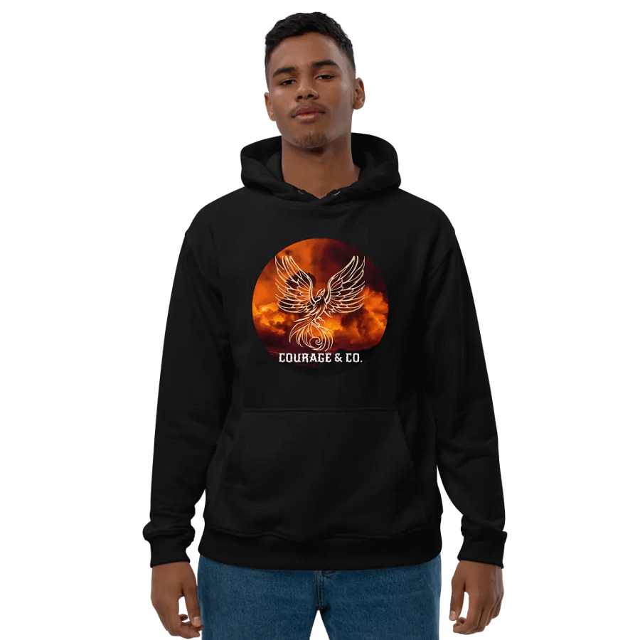 Courage & Co. Phoenix In Smog Hoodie product image (10)