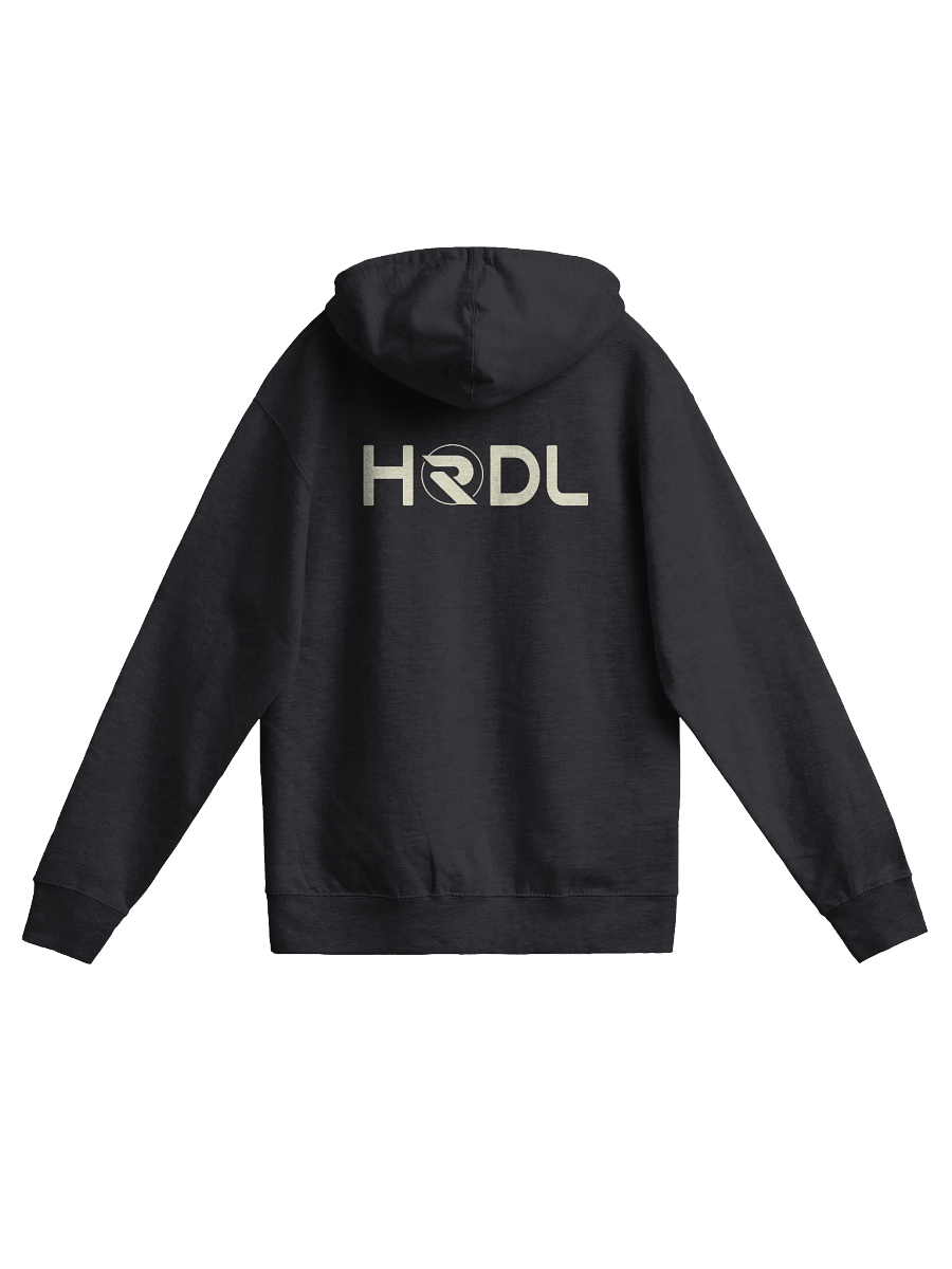 A Radiant Zipped Hoodie product image (2)